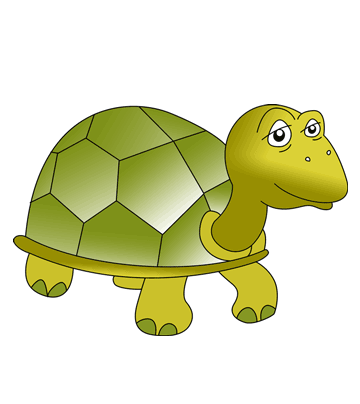 Hard Back Tortoise Coloring Pages